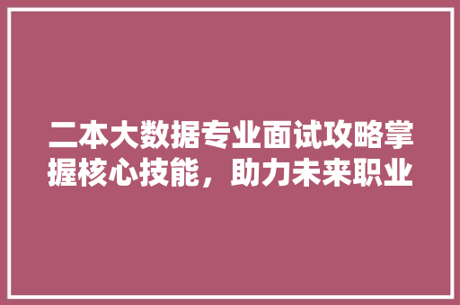 二本大数据专业面试攻略掌握核心技能，助力未来职业发展