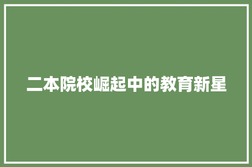 二本院校崛起中的教育新星