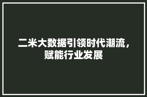 二米大数据引领时代潮流，赋能行业发展