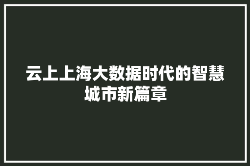云上上海大数据时代的智慧城市新篇章
