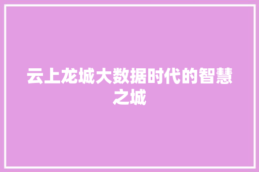 云上龙城大数据时代的智慧之城