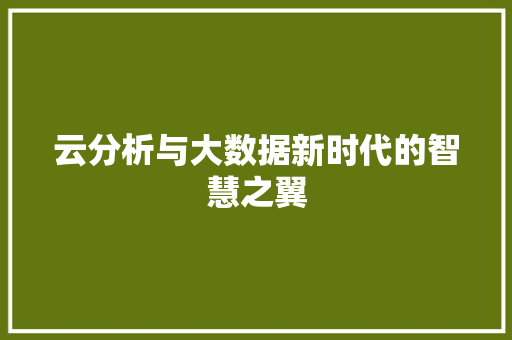 云分析与大数据新时代的智慧之翼