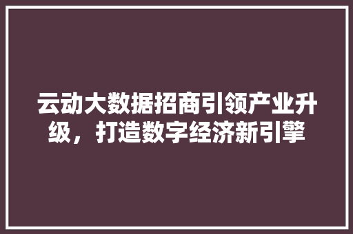 云动大数据招商引领产业升级，打造数字经济新引擎