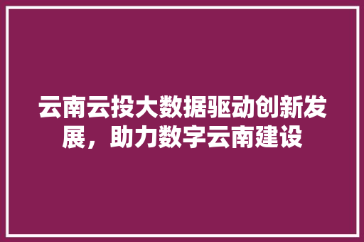 云南云投大数据驱动创新发展，助力数字云南建设