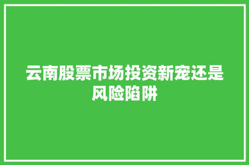 云南股票市场投资新宠还是风险陷阱
