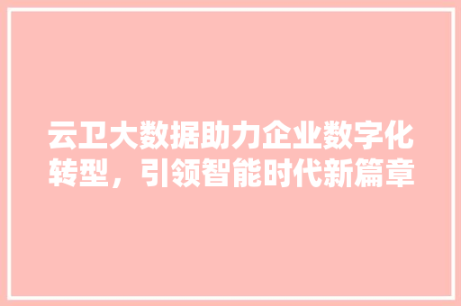 云卫大数据助力企业数字化转型，引领智能时代新篇章