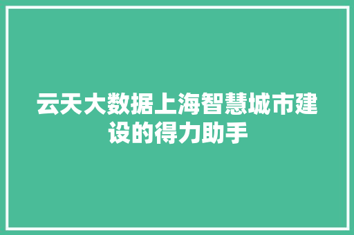 云天大数据上海智慧城市建设的得力助手