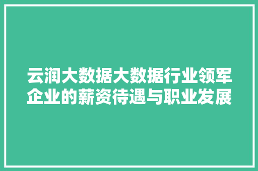 云润大数据大数据行业领军企业的薪资待遇与职业发展