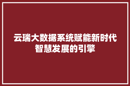 云瑞大数据系统赋能新时代智慧发展的引擎