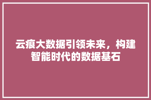 云痕大数据引领未来，构建智能时代的数据基石