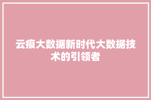 云痕大数据新时代大数据技术的引领者