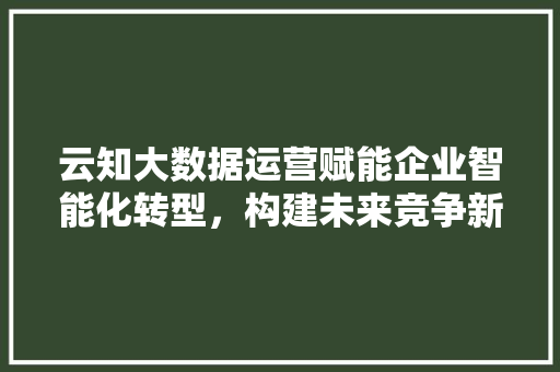 云知大数据运营赋能企业智能化转型，构建未来竞争新优势