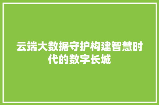 云端大数据守护构建智慧时代的数字长城