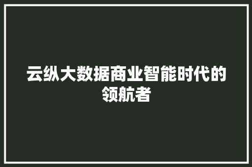 云纵大数据商业智能时代的领航者