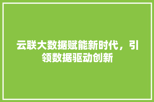 云联大数据赋能新时代，引领数据驱动创新