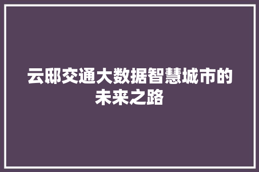 云邸交通大数据智慧城市的未来之路 操作系统