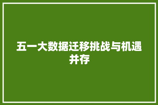 五一大数据迁移挑战与机遇并存