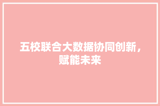 五校联合大数据协同创新,赋能未来 五校联合大数据协同创新,赋能未来