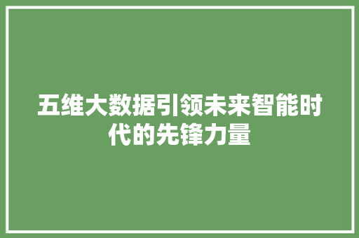 五维大数据引领未来智能时代的先锋力量 五维大数据引领未来智能时代的先锋力量