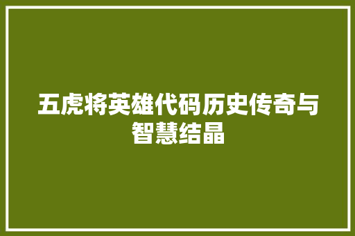五虎将英雄代码历史传奇与智慧结晶 五虎将英雄代码历史传奇与智慧结晶