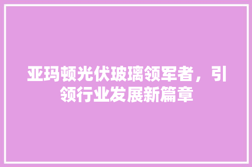 亚玛顿光伏玻璃领军者，引领行业发展新篇章 网络技术