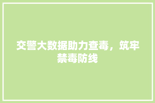 交警大数据助力查毒，筑牢禁毒防线