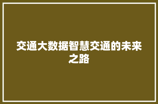 交通大数据智慧交通的未来之路