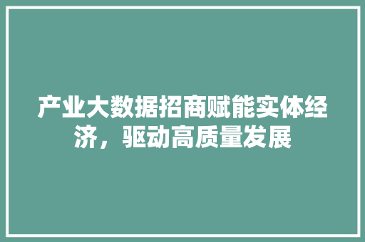 产业大数据招商赋能实体经济，驱动高质量发展