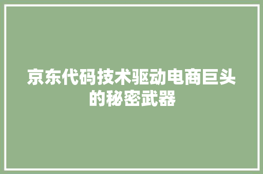 京东代码技术驱动电商巨头的秘密武器
