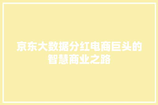 京东大数据分红电商巨头的智慧商业之路 电脑基础