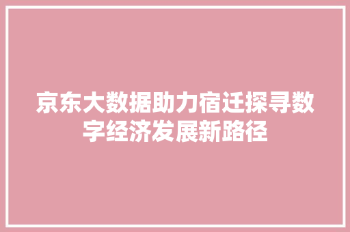 京东大数据助力宿迁探寻数字经济发展新路径