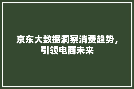 京东大数据洞察消费趋势，引领电商未来