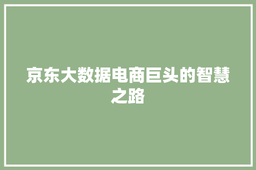 京东大数据电商巨头的智慧之路
