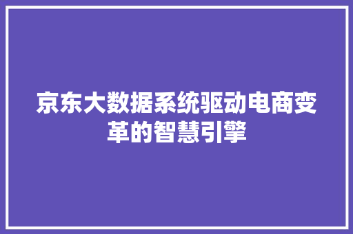 京东大数据系统驱动电商变革的智慧引擎
