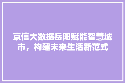 京信大数据岳阳赋能智慧城市，构建未来生活新范式