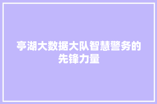 亭湖大数据大队智慧警务的先锋力量 亭湖大数据大队智慧警务的先锋力量