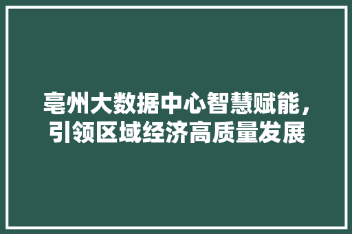亳州大数据中心智慧赋能，引领区域经济高质量发展