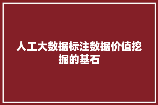 人工大数据标注数据价值挖掘的基石