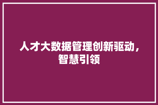 人才大数据管理创新驱动，智慧引领