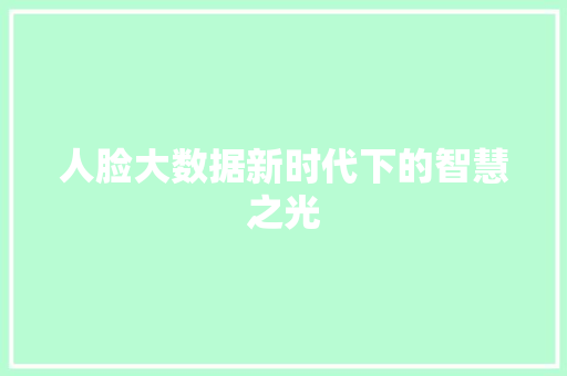 人脸大数据新时代下的智慧之光