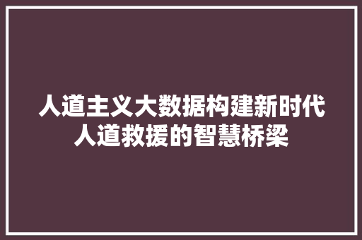 人道主义大数据构建新时代人道救援的智慧桥梁