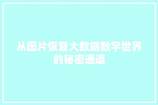 从图片恢复大数据数字世界的秘密通道
