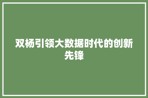 双杨引领大数据时代的创新先锋