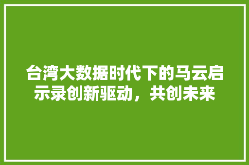 台湾大数据时代下的马云启示录创新驱动，共创未来