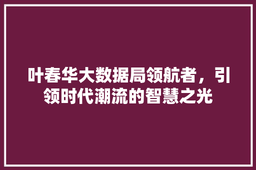 叶春华大数据局领航者，引领时代潮流的智慧之光