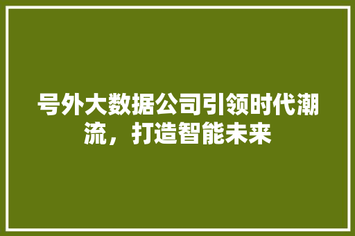 号外大数据公司引领时代潮流，打造智能未来