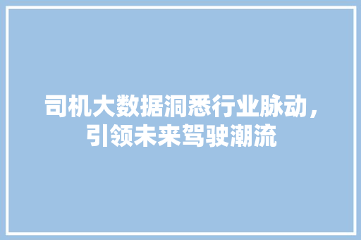 司机大数据洞悉行业脉动，引领未来驾驶潮流 电脑故障维修