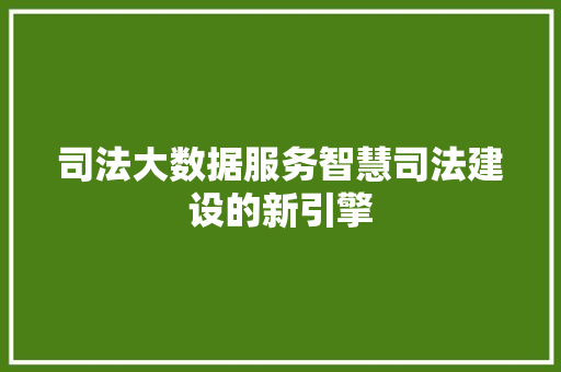 司法大数据服务智慧司法建设的新引擎