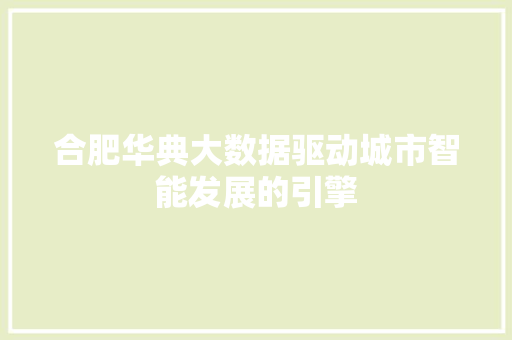 合肥华典大数据驱动城市智能发展的引擎