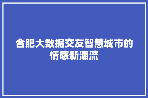 合肥大数据交友智慧城市的情感新潮流